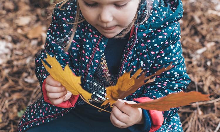 Forest School Wednesdays